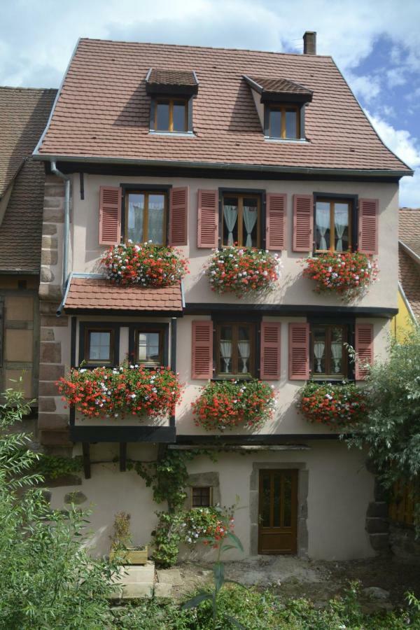 Gîtes Du Stekala Kaysersberg-Vignoble Extérieur photo